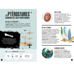Sassi Junior Age Of Dinosaurs - Pteranodon - ^ Libros