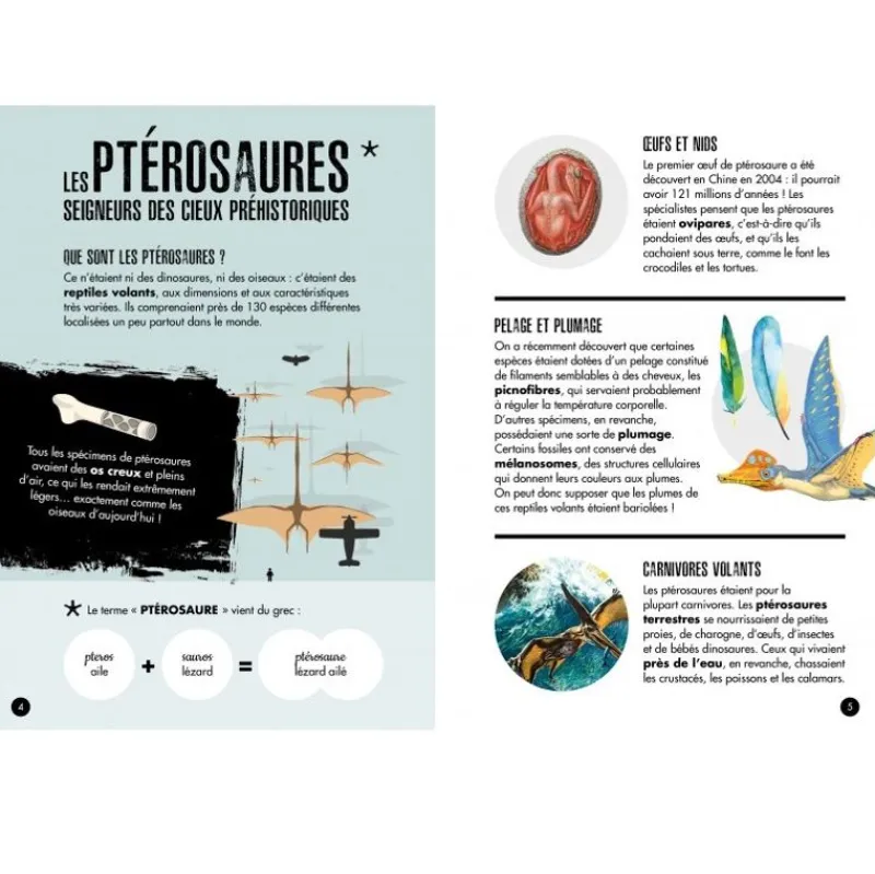 Sassi Junior Age Of Dinosaurs - Pteranodon - ^ Libros