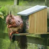 Esschert Design Alimentador De Ardillas - ^ Cajas Nido Y Comederos Para Animales