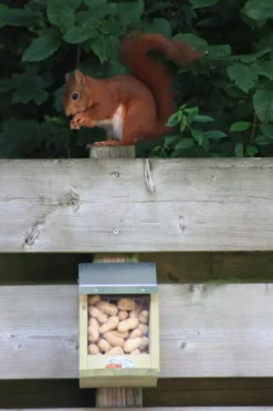 Esschert Design Alimentador De Ardillas - ^ Cajas Nido Y Comederos Para Animales