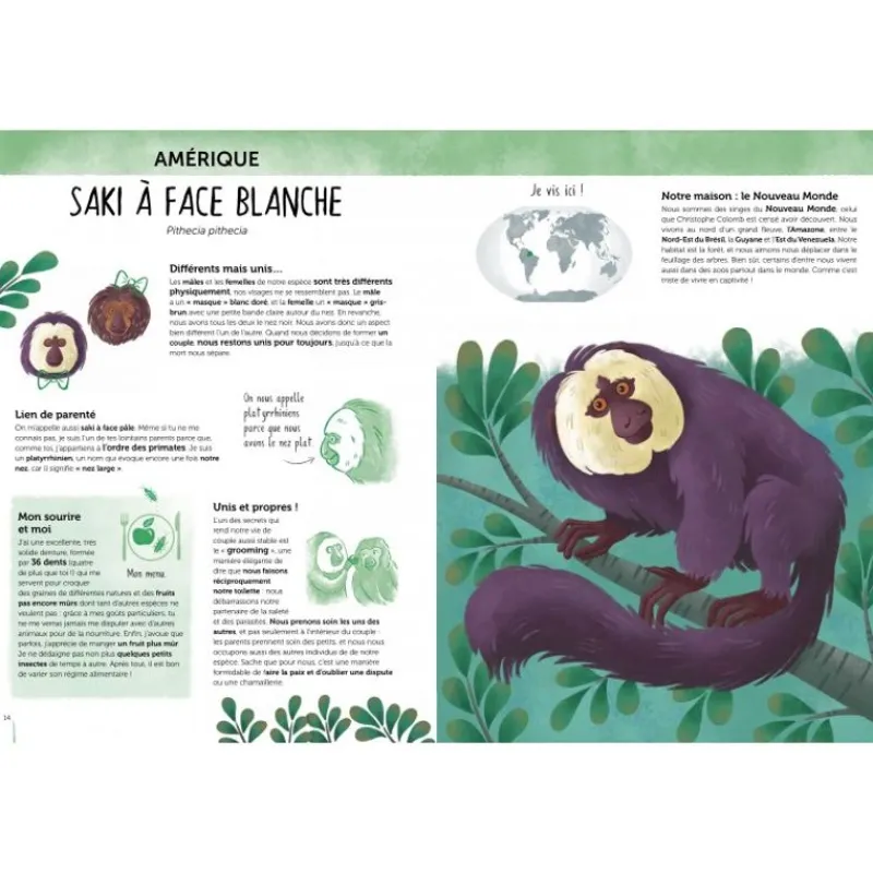 Sassi Junior Atlas De La Biodiversidad - Animales Insolitos Y Curiosos - ^ Libros