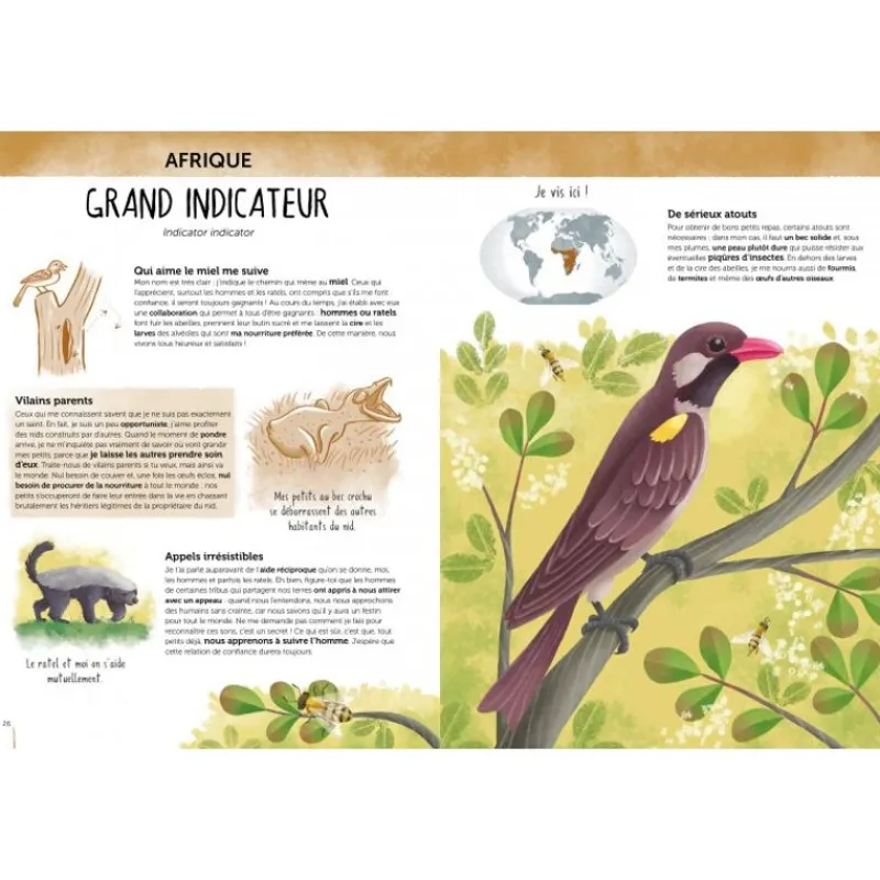 Sassi Junior Atlas De La Biodiversidad - Animales Insolitos Y Curiosos - ^ Libros