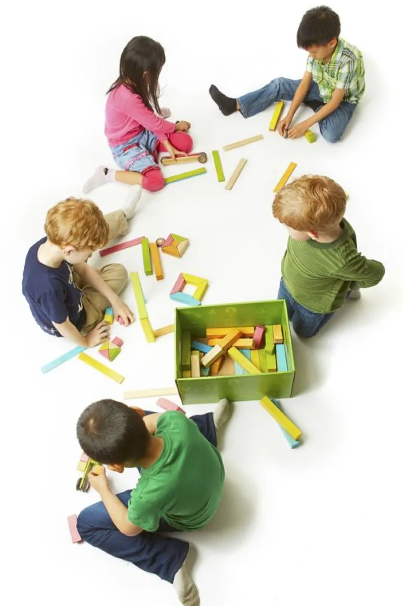 Tegu Bloques Magnéticos Kit Para El Aula 90 Unidades - ^ Imanes, Libros Magnéticos Y Juegos Magnéticos