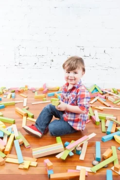 Tegu Bloques Magnéticos Kit Para El Aula 240 Unidades - ^ Imanes, Libros Magnéticos Y Juegos Magnéticos
