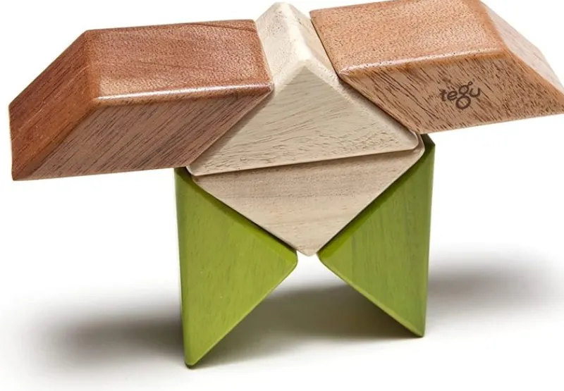 Tegu Bolsa De Bolsillo Prisma Jungla 6 Unidades - ^ Imanes, Libros Magnéticos Y Juegos Magnéticos