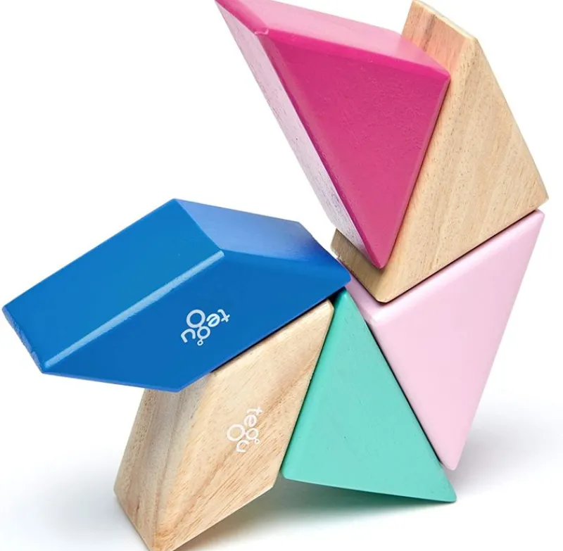 Tegu Bolsa De Bolsillo Prisma Blossom 6 Piezas - ^ Imanes, Libros Magnéticos Y Juegos Magnéticos