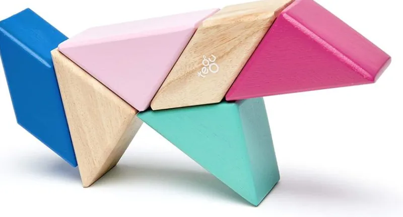 Tegu Bolsa De Bolsillo Prisma Blossom 6 Piezas - ^ Imanes, Libros Magnéticos Y Juegos Magnéticos