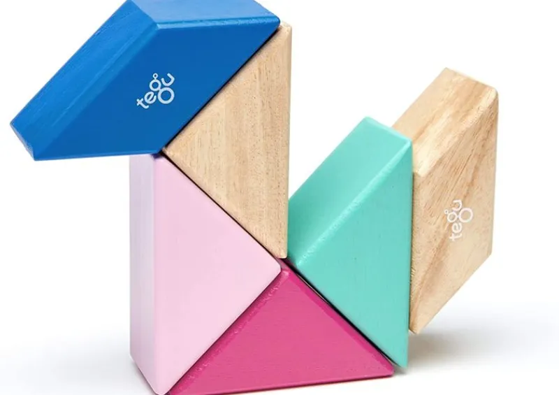 Tegu Bolsa De Bolsillo Prisma Blossom 6 Piezas - ^ Imanes, Libros Magnéticos Y Juegos Magnéticos