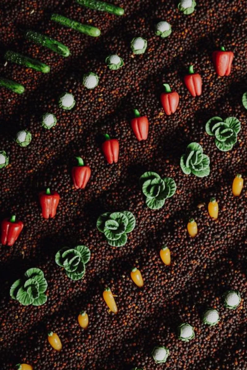 Petit Boum Botella Sensorial Veggies - ^ Juguetes Para El Aprendizaje Temprano Y La Motricidad