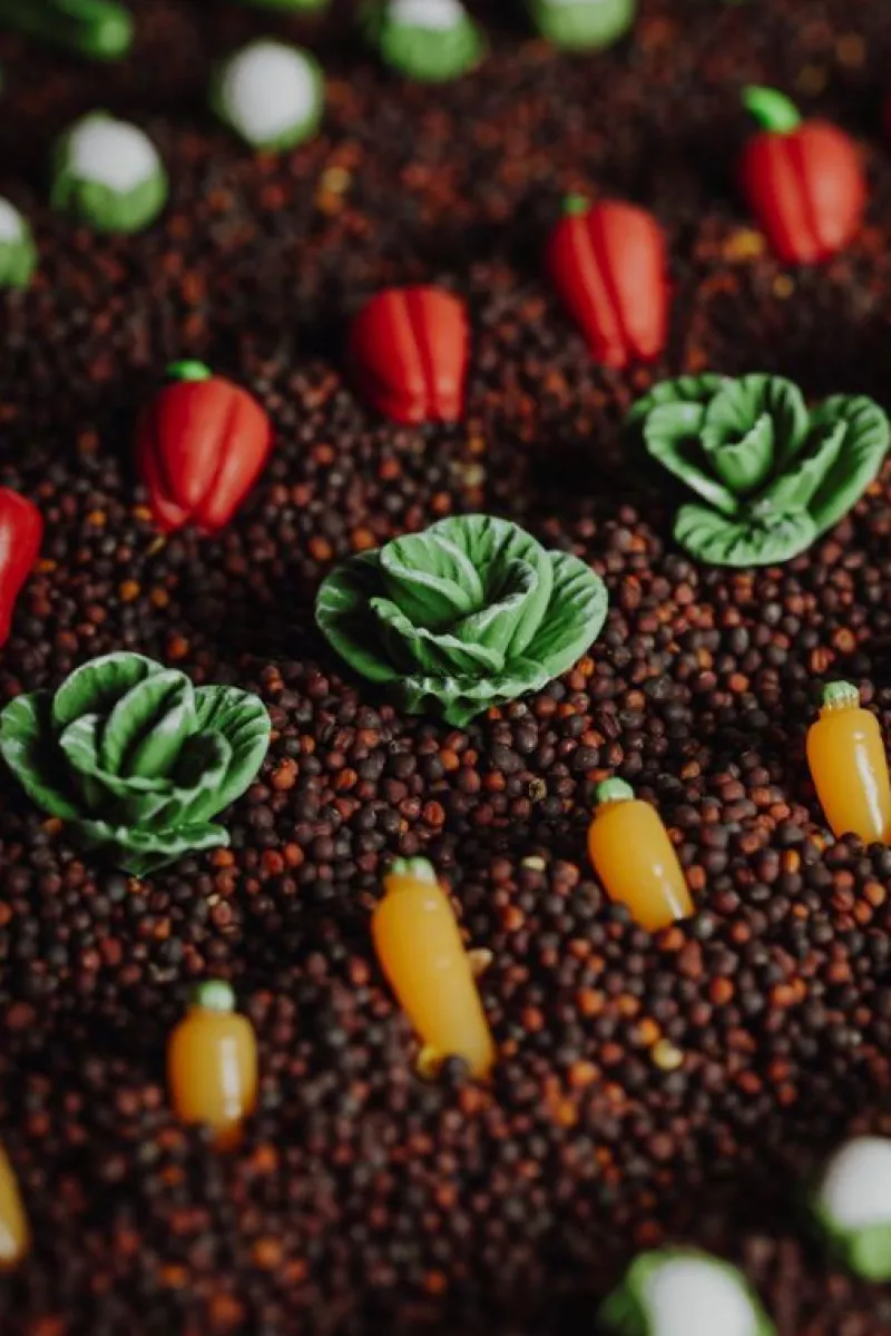 Petit Boum Botella Sensorial Veggies - ^ Juguetes Para El Aprendizaje Temprano Y La Motricidad