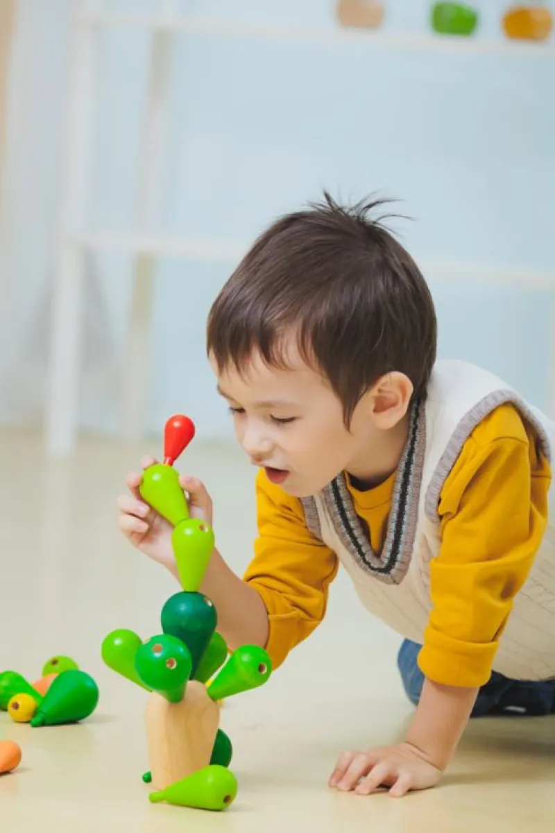 Plan Toys Cactus Mikado - ^ Juegos De Habilidad