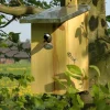 Esschert Design Caja Nido Del Observatorio - ^ Cajas Nido Y Comederos Para Animales