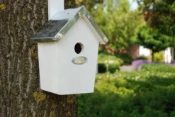Esschert Design Caja Nido Para Herrerillos - Blanca - ^ Cajas Nido Y Comederos Para Animales
