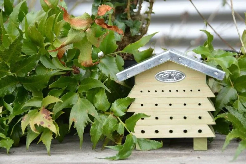Esschert Design Casa En Abeilles - ^ Cajas Nido Y Comederos Para Animales
