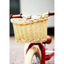 Trybike Cesta De La Bicicleta - ^ Draisiennes Y Bicicletas De Madera