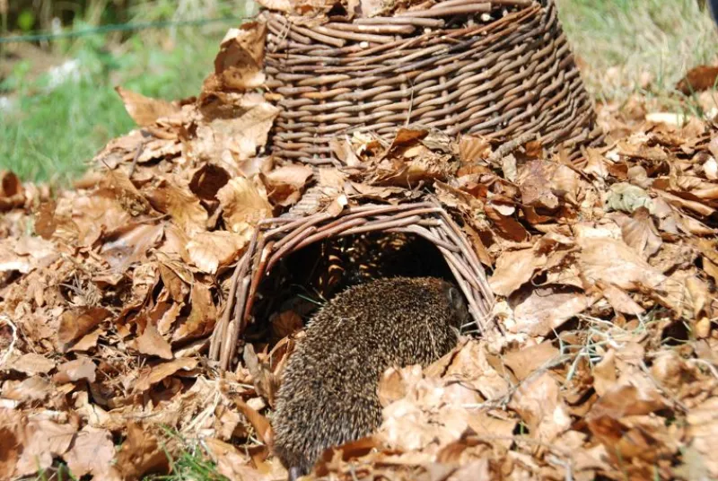 Esschert Design Cesta Del Erizo - ^ Cajas Nido Y Comederos Para Animales