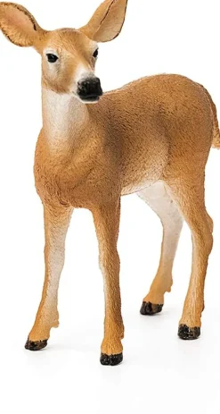 Schleich Ciervo De Cola Blanca - ^ Héroes De Cómic Y Dibujos Animados