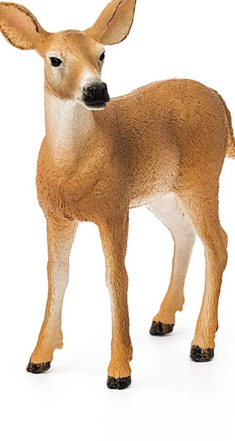 Schleich Ciervo De Cola Blanca - ^ Héroes De Cómic Y Dibujos Animados