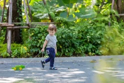 Plan Toys Cocodrilo - ^ Juguetes Que Tiran Y Empujan
