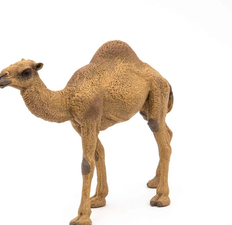 Papo Estatuilla De Dromedario - ^ Animales Salvajes