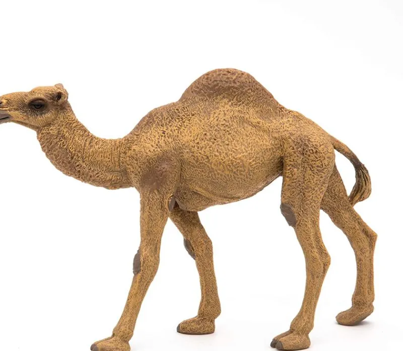 Papo Estatuilla De Dromedario - ^ Animales Salvajes