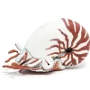 Papo Estatuilla De Nautilus - ^ Animales Marinos