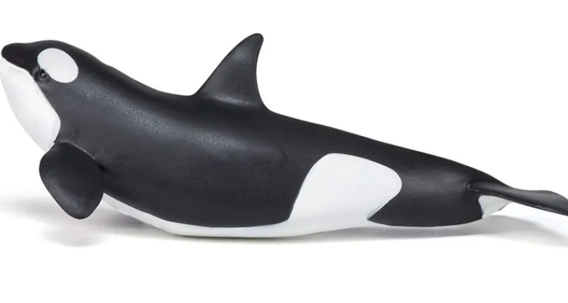 Papo Figura De Orca Bebe - ^ Animales Marinos