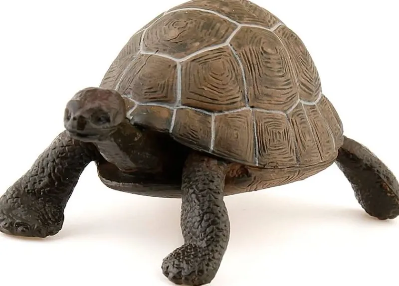 Papo Figura De Tortuga - ^ Animales Salvajes