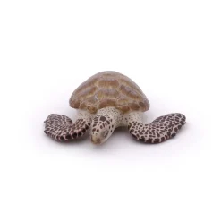 Papo Figura De Tortuga Boba - ^ Animales Marinos