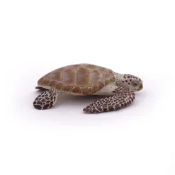Papo Figura De Tortuga Boba - ^ Animales Marinos