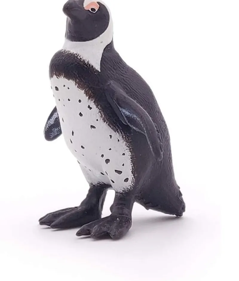 Papo Figurina Del Pinguino Del Capo - ^ Animales Marinos