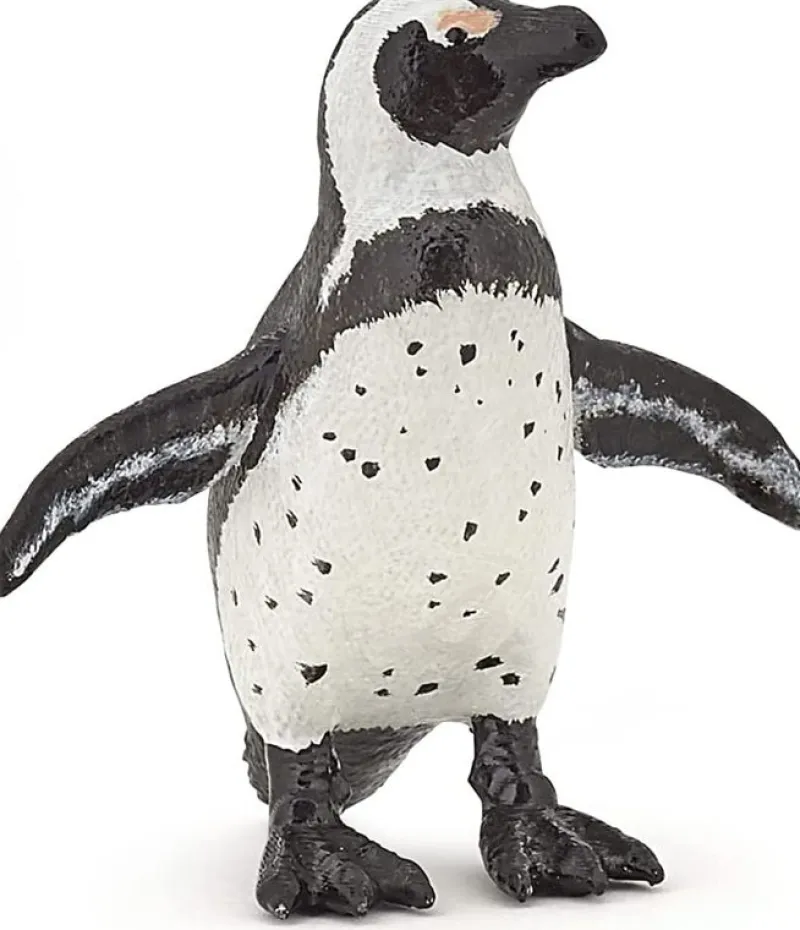 Papo Figurina Del Pinguino Del Capo - ^ Animales Marinos