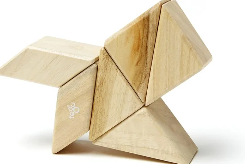 Tegu Funda De Bolsillo Prismatica Natural 6 Uds. - ^ Imanes, Libros Magnéticos Y Juegos Magnéticos