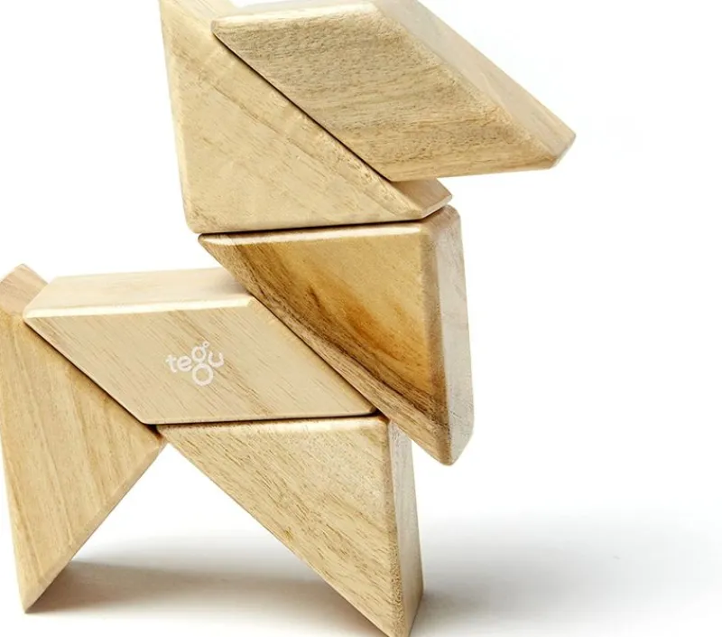 Tegu Funda De Bolsillo Prismatica Natural 6 Uds. - ^ Imanes, Libros Magnéticos Y Juegos Magnéticos