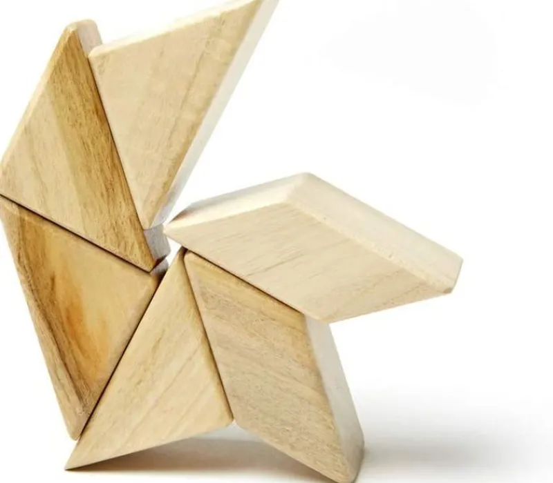 Tegu Funda De Bolsillo Prismatica Natural 6 Uds. - ^ Imanes, Libros Magnéticos Y Juegos Magnéticos