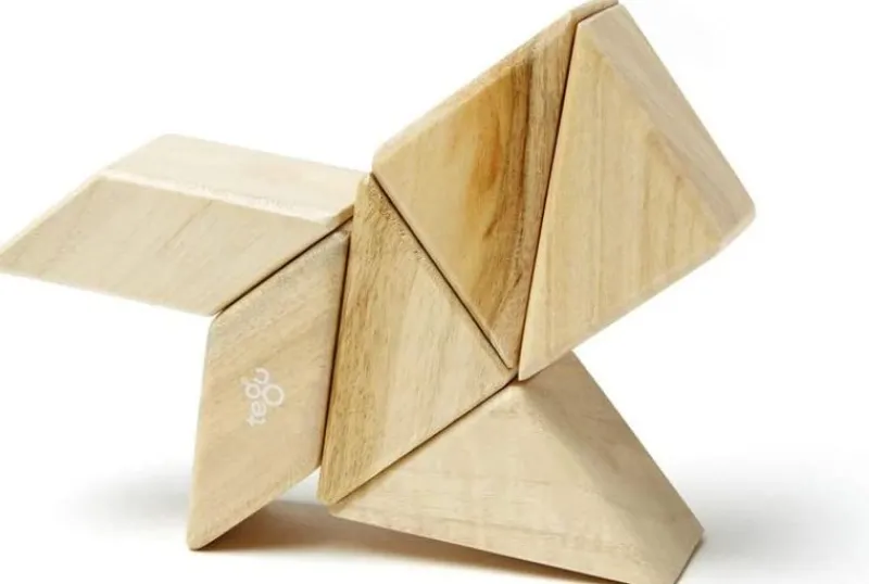 Tegu Funda De Bolsillo Prismatica Natural 6 Uds. - ^ Imanes, Libros Magnéticos Y Juegos Magnéticos