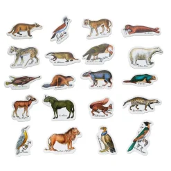 Vilac Imanes Zoologicos Buffon - ^ Imanes, Libros Magnéticos Y Juegos Magnéticos
