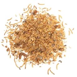 Esschert Design Insectos Secos - ^ Cajas Nido Y Comederos Para Animales