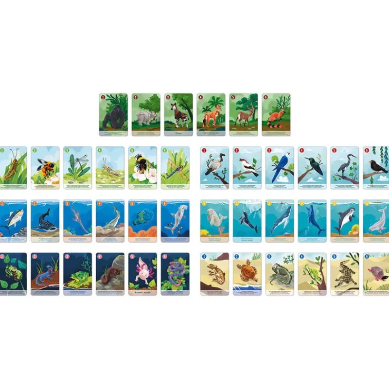 Janod Juego De 7 Familias Del Reino Animal - ^ Juegos De Cartas Y Dados