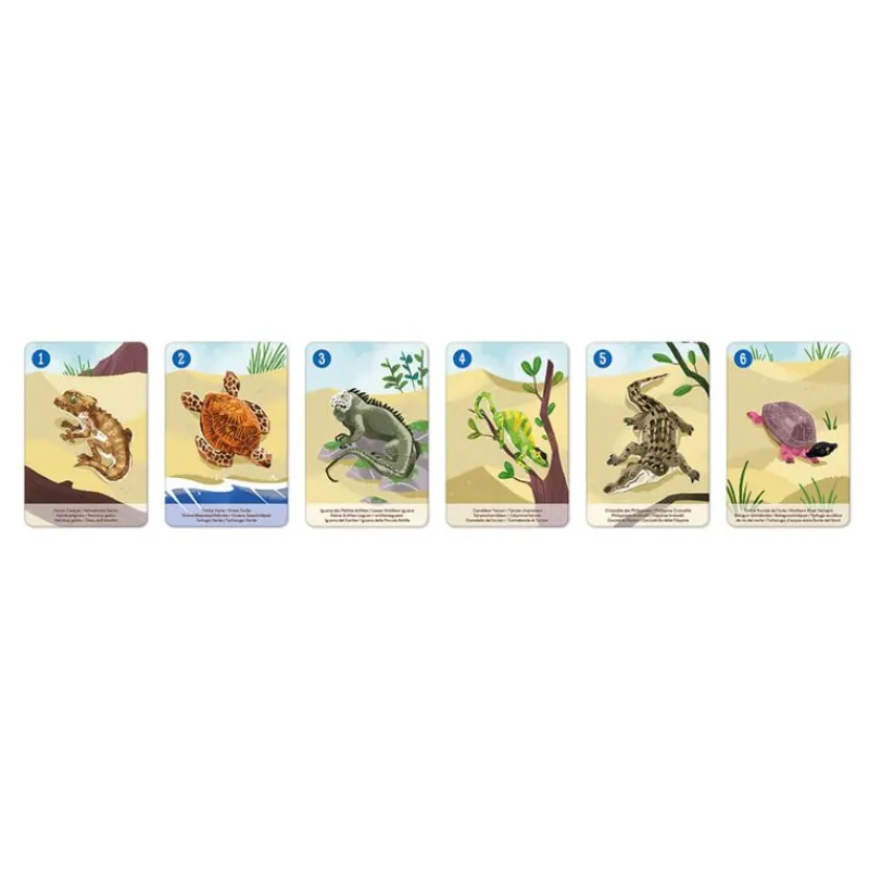 Janod Juego De 7 Familias Del Reino Animal - ^ Juegos De Cartas Y Dados