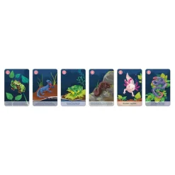 Janod Juego De 7 Familias Del Reino Animal - ^ Juegos De Cartas Y Dados