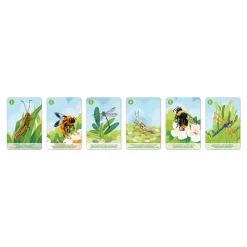 Janod Juego De 7 Familias Del Reino Animal - ^ Juegos De Cartas Y Dados