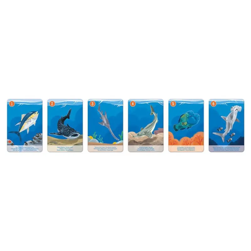 Janod Juego De 7 Familias Del Reino Animal - ^ Juegos De Cartas Y Dados