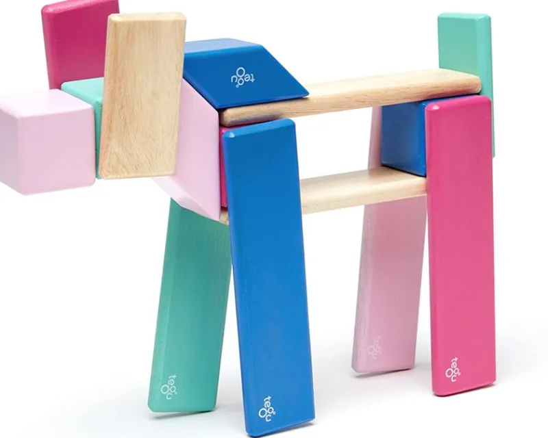 Tegu Juego De 24 Piezas Blossom - ^ Imanes, Libros Magnéticos Y Juegos Magnéticos