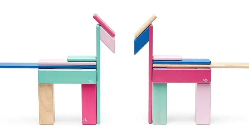 Tegu Juego De 24 Piezas Blossom - ^ Imanes, Libros Magnéticos Y Juegos Magnéticos
