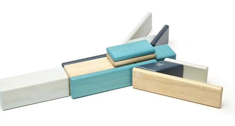 Tegu Juego De 14 Piezas De Blues - ^ Imanes, Libros Magnéticos Y Juegos Magnéticos