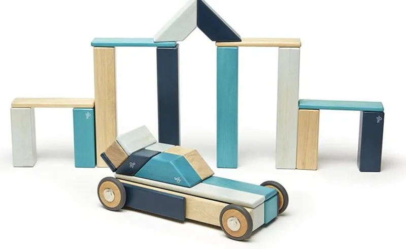 Tegu Juego De 42 Piezas De Blues - ^ Imanes, Libros Magnéticos Y Juegos Magnéticos