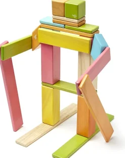 Tegu Juego De 24 Piezas De Tinturas - ^ Imanes, Libros Magnéticos Y Juegos Magnéticos