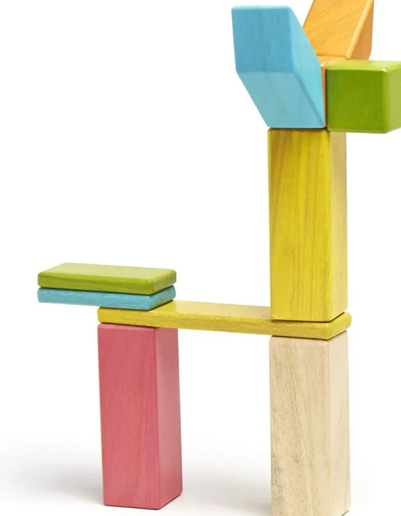 Tegu Juego De 24 Piezas De Tinturas - ^ Imanes, Libros Magnéticos Y Juegos Magnéticos