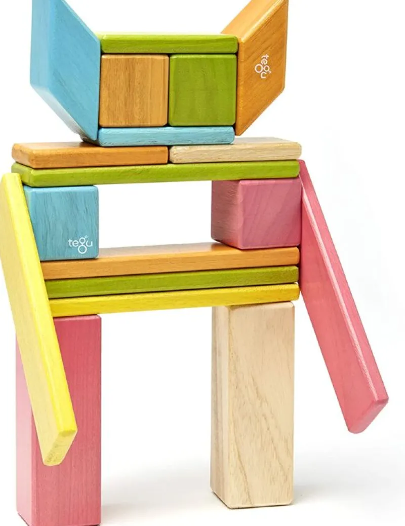 Tegu Juego De 24 Piezas De Tinturas - ^ Imanes, Libros Magnéticos Y Juegos Magnéticos